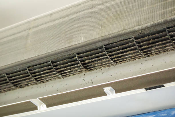 Best Air Vent Cleaning Services  in Draper, UT